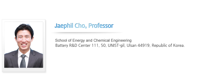 Jaephil Cho, Professor